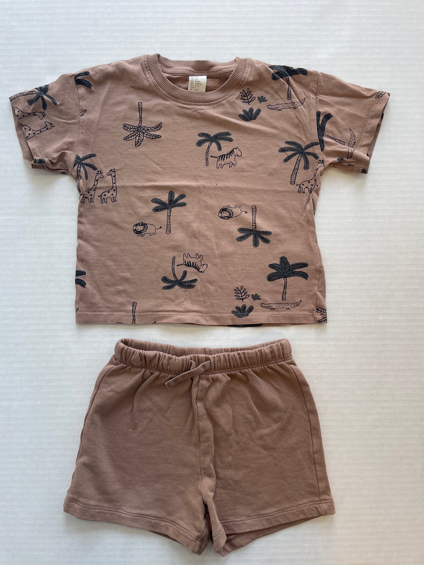 H&M Boy Set 3T