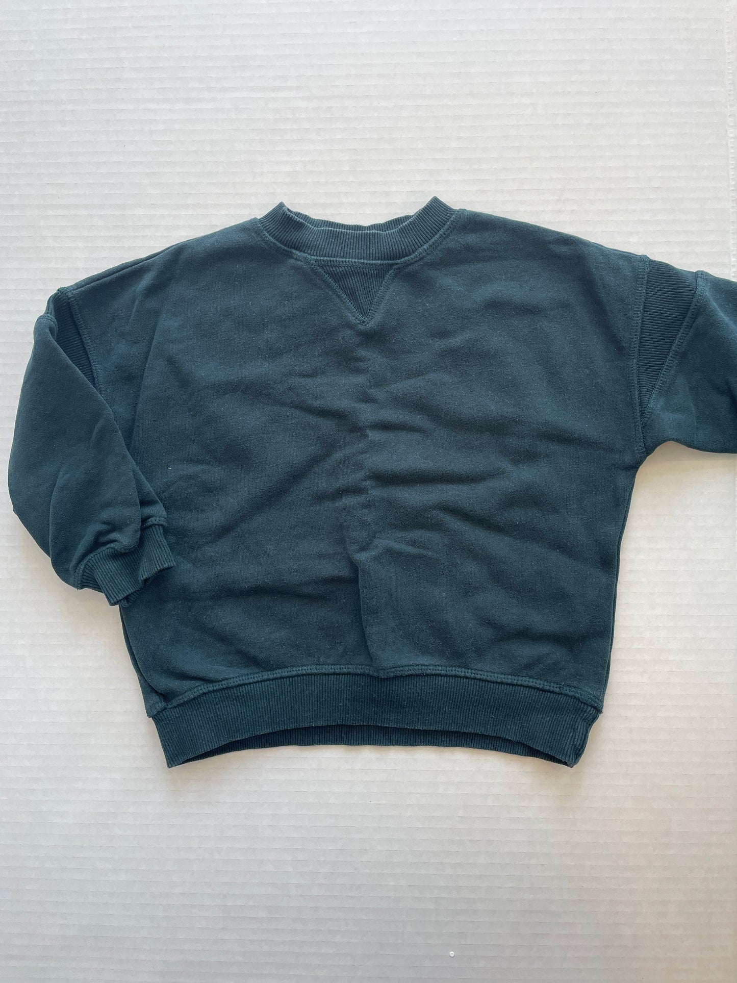 Zara Boy Sweatshirt 2-3T