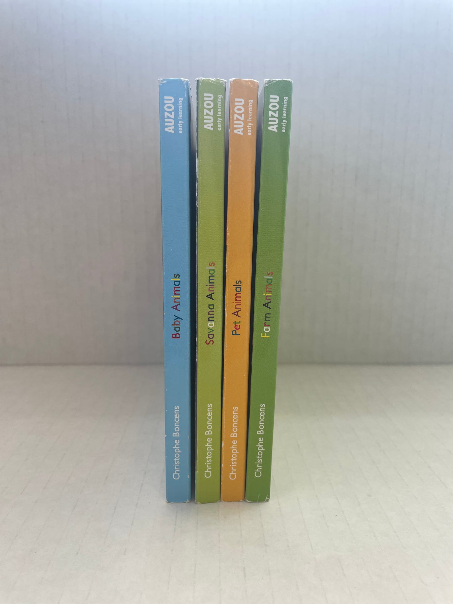 Books(Set of 4)
