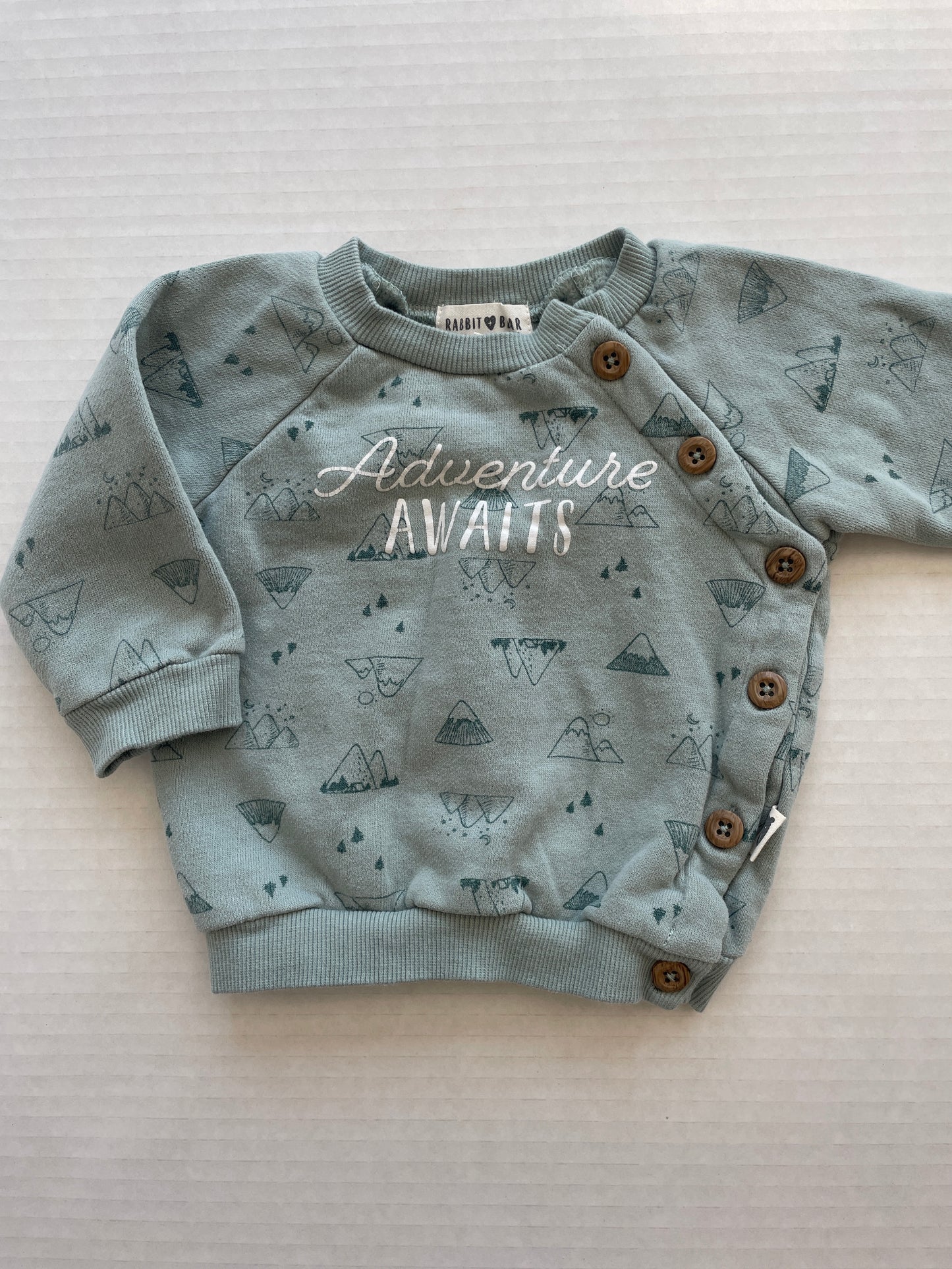 Rabbit Bear Boy Sweatshirt 12 Month