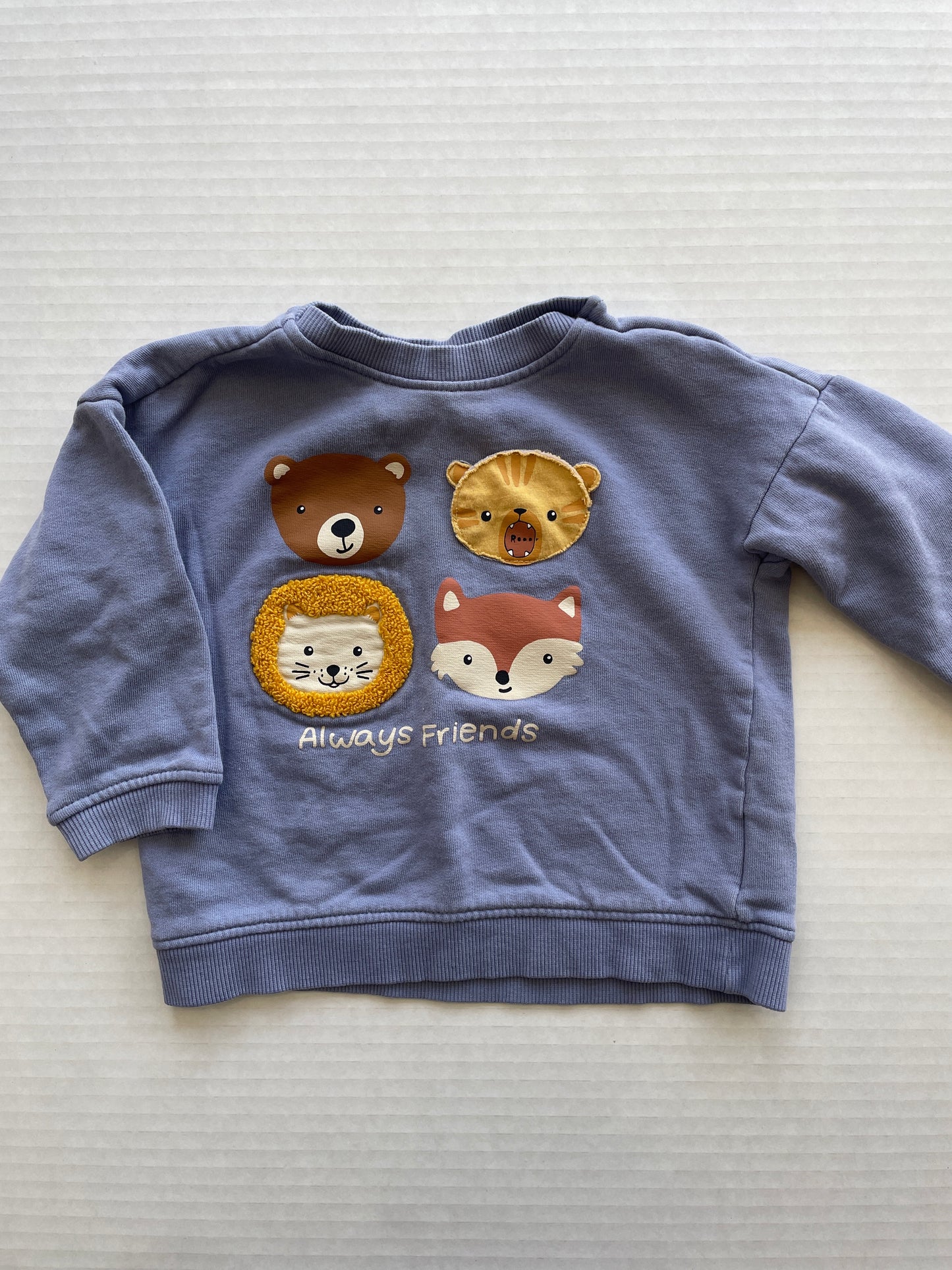 H&M Boy Sweatshirt 12-18 Month