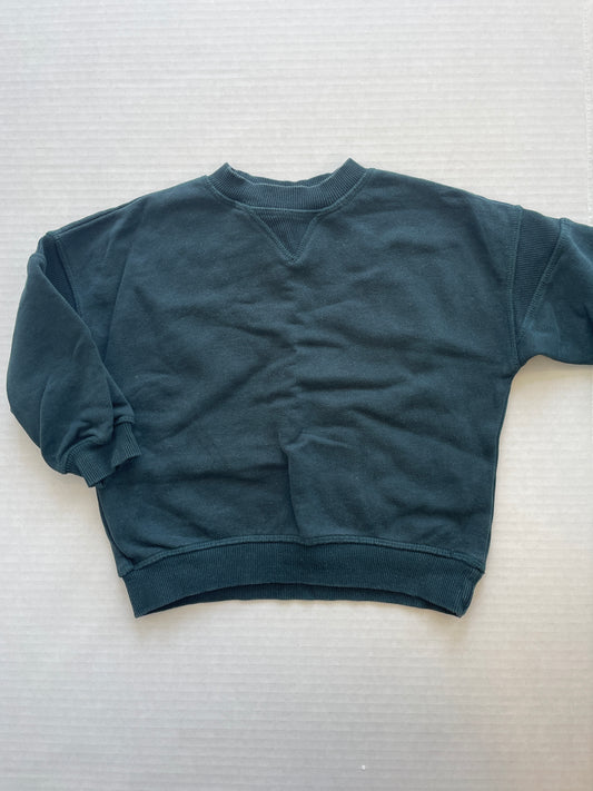Zara Boy Sweatshirt 2-3T