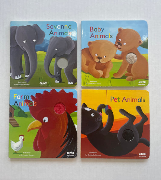 Books(Set of 4)